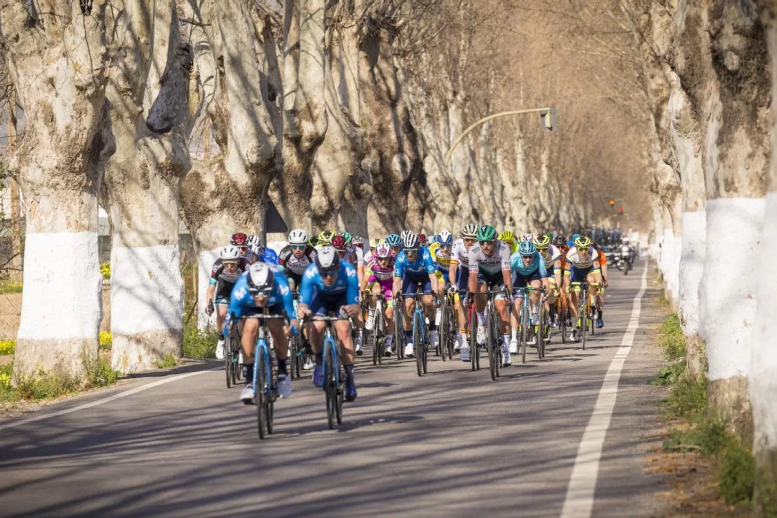 La Clásica de Almería 2023 contará con 21 equipos, nueve de ellos WorldTour