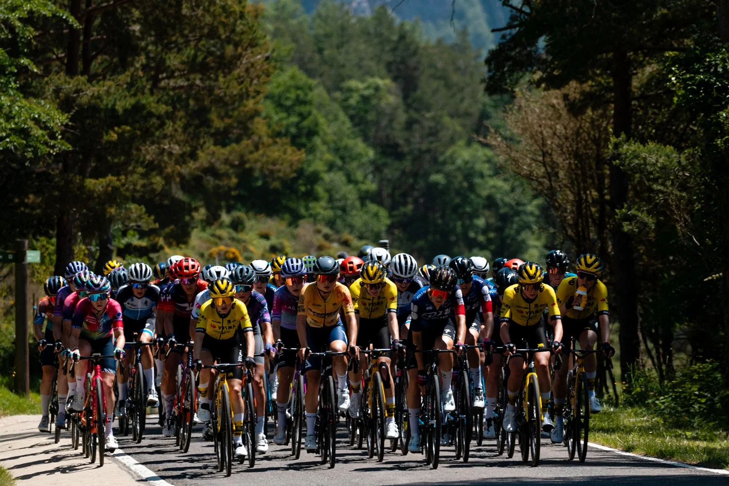 La Volta a Catalunya femenina 2026 confirma un pelotón de élite mundial para su tercera edición