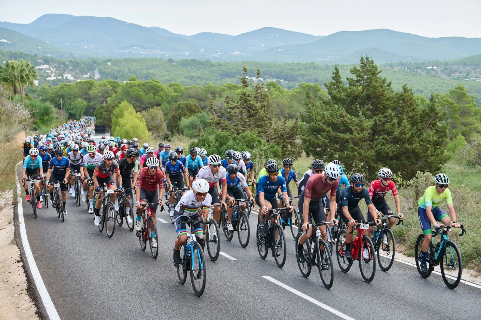 La XX edición de Vuelta Cicloturista a Ibiza Campagnolo bate récords