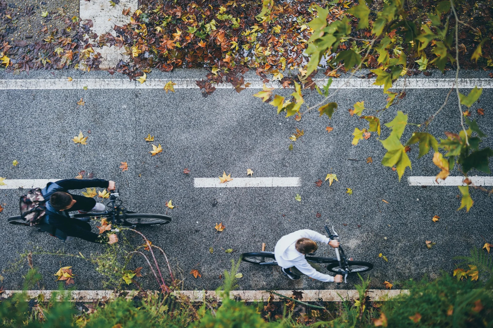 Las 10 ciudades más buscadas para ir en bicicleta en 2024 según Google