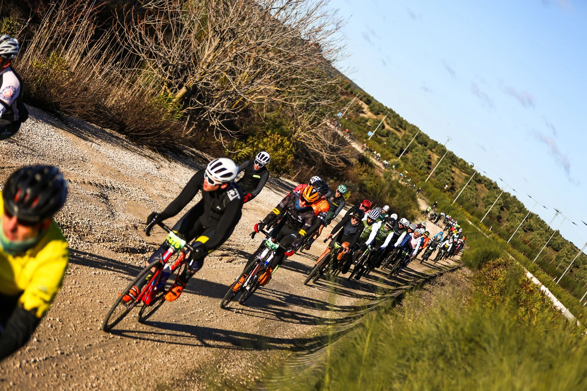 Mil ciclistas conquistan los Caminos de Olivos en una Gran Fondo Jaén histórica