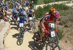 Celebrados los campeonatos de Andalucía de MTB