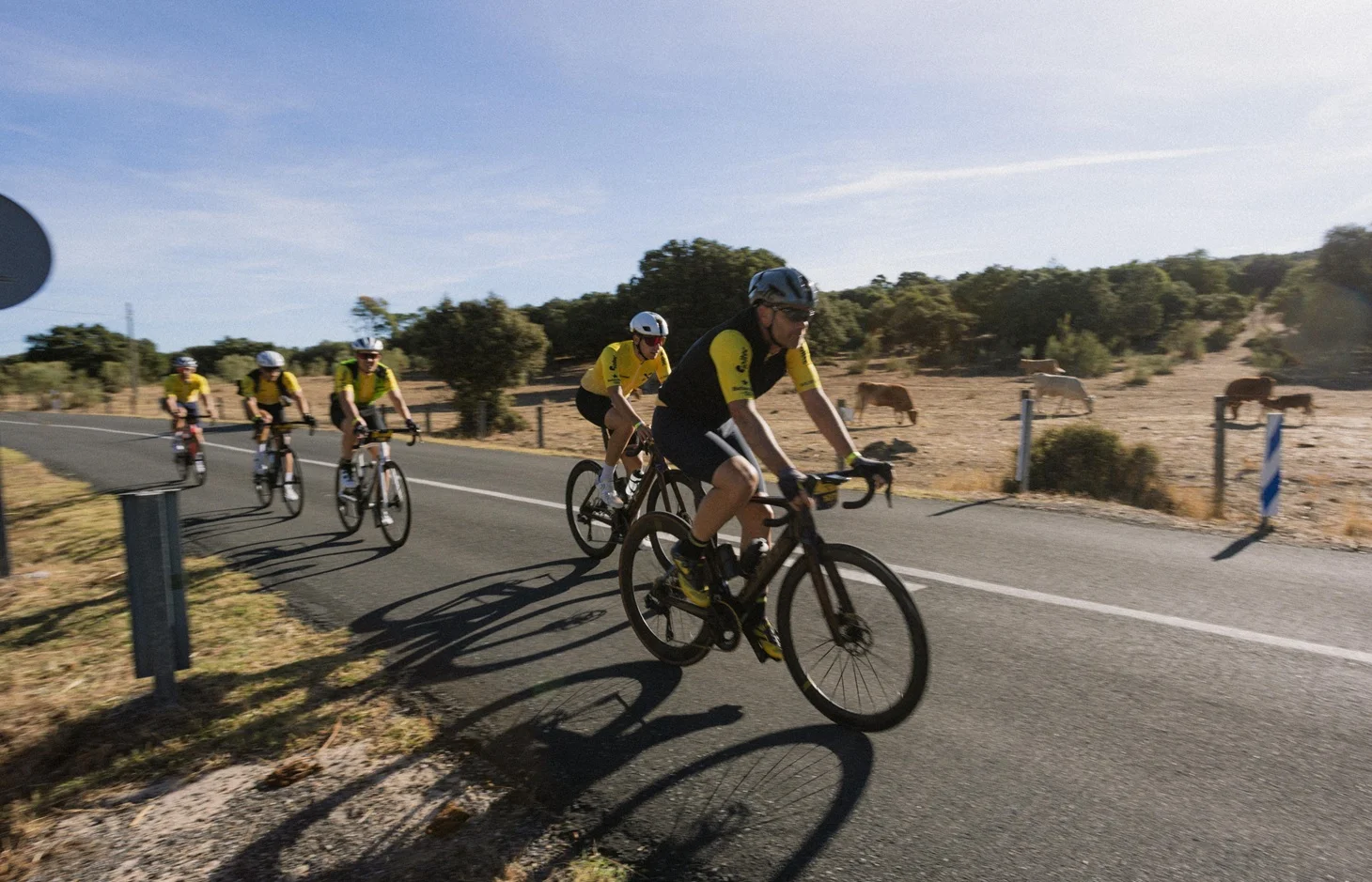 Nace la Mussara Comunidad de Madrid. Una nueva marcha cicloturista 