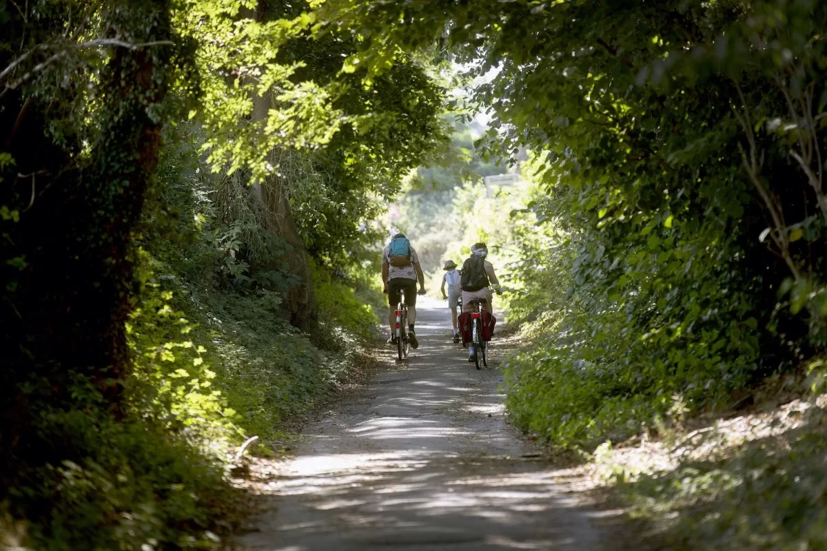 Nueve nuevas rutas ciclistas en Flandes