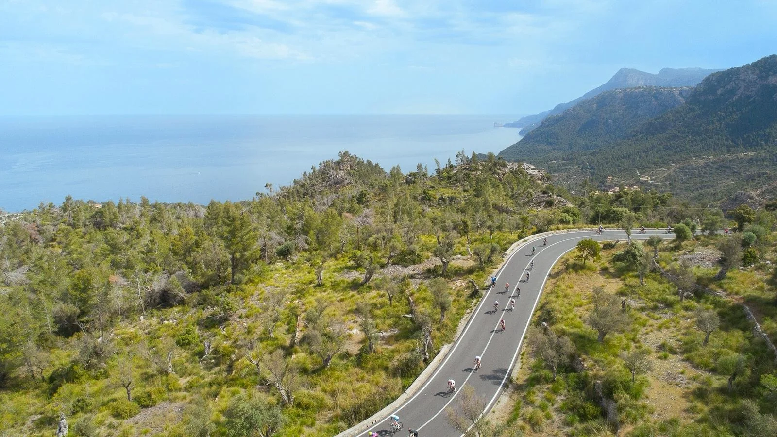 Pinarello se convierte en Gold Sponsor de la Mallorca 312 OK Mobility 2026