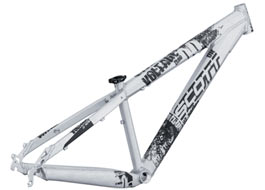 CUADRO VOLTAGE YZ0: Aceptación total