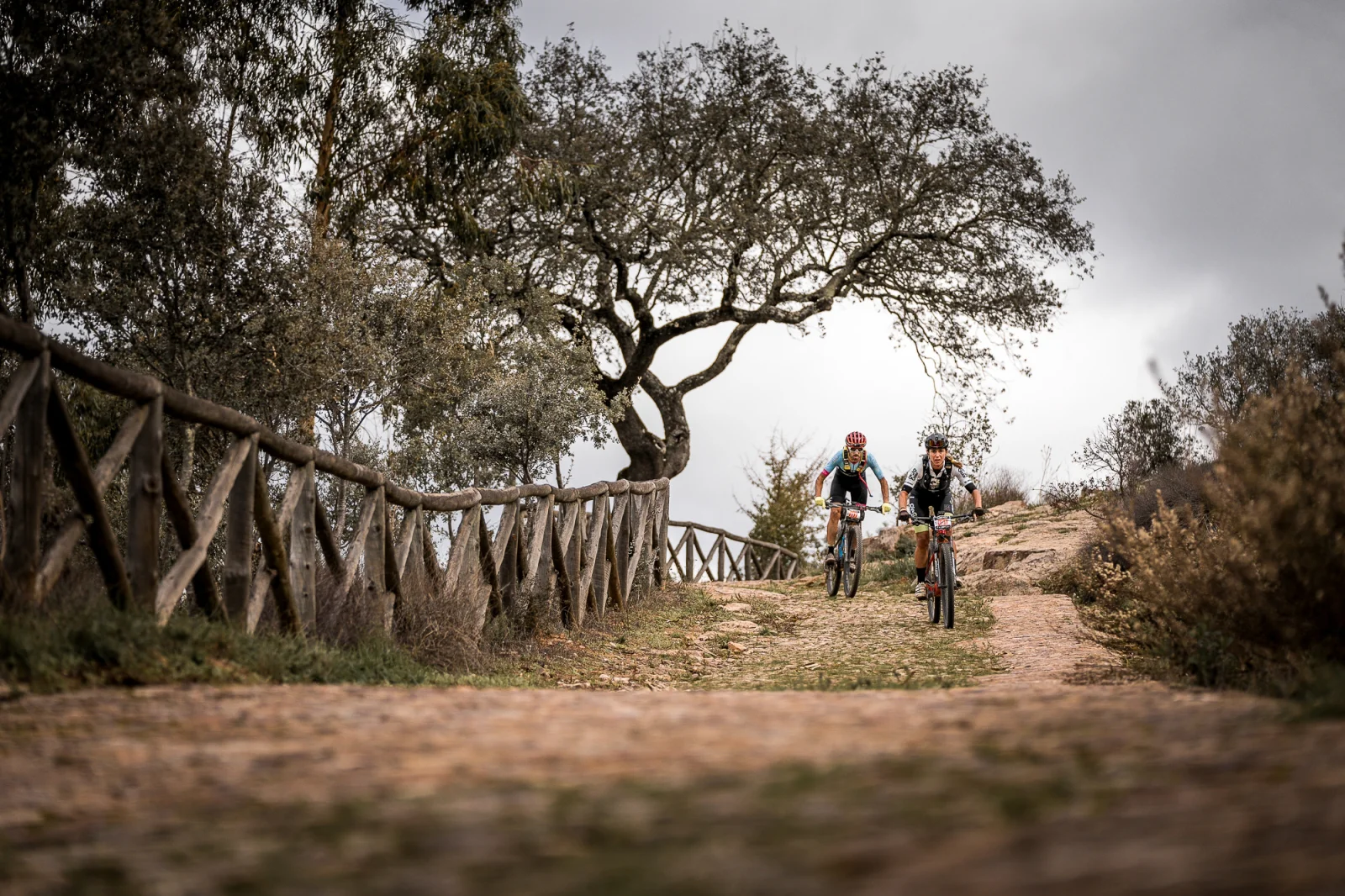 Sierra Nevada Límite MTB RACE : Una nueva prueba para amantes de la bicicleta de montaña