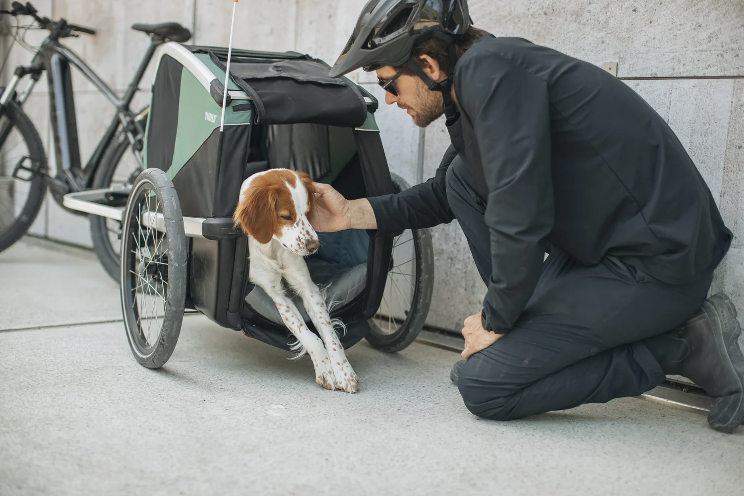 Thule Bexey llega al mercado para garantizar viajes cómodos y estables con tu mascota en bicicleta