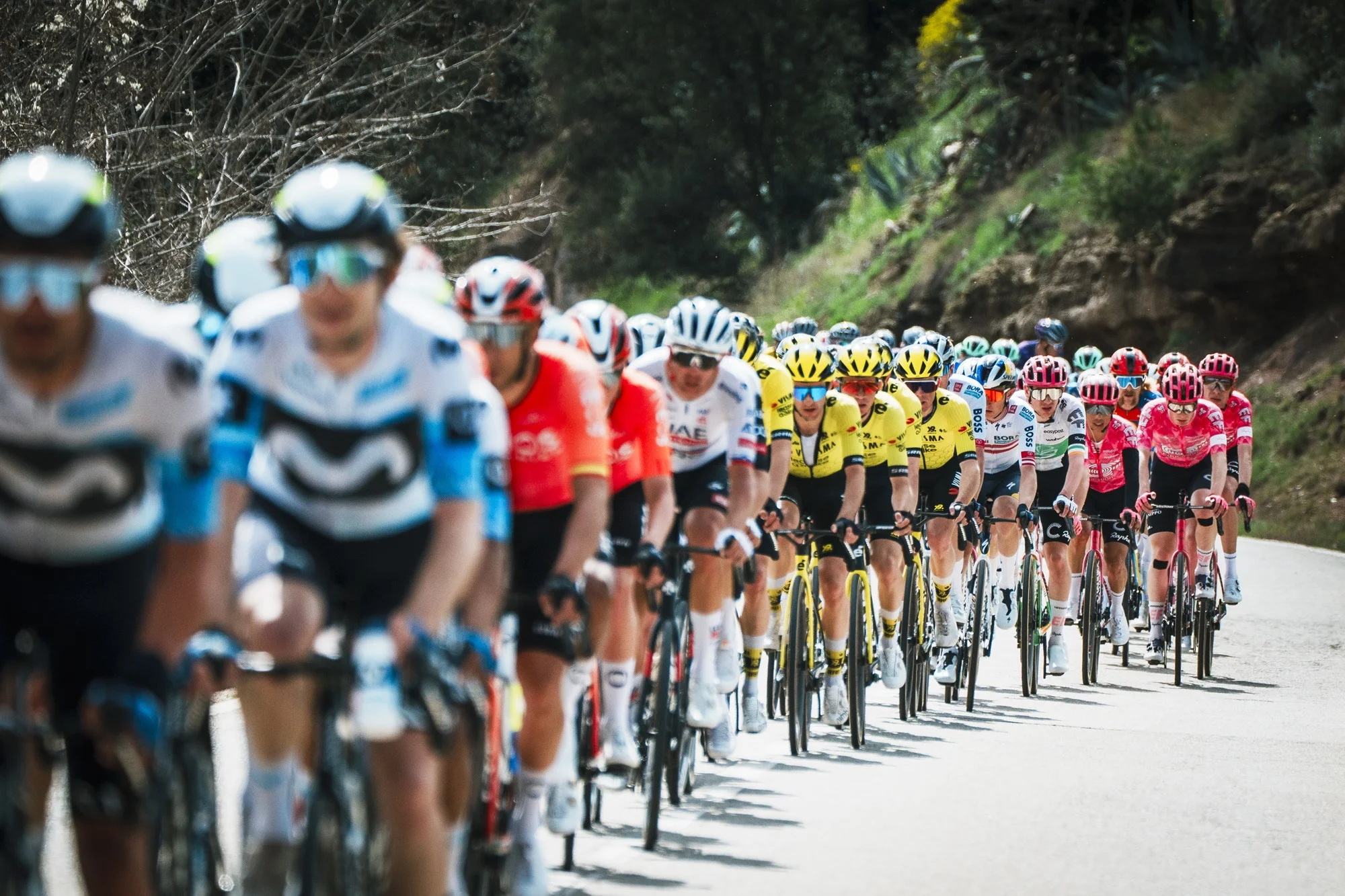 Todo listo para la histórica 105 edición de la Volta a Catalunya 2026