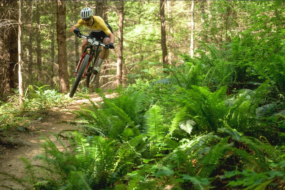Triunfo de Nino Schurter en los  siete días de la BC Bike Race de puro singletrack en la Columbia Británica