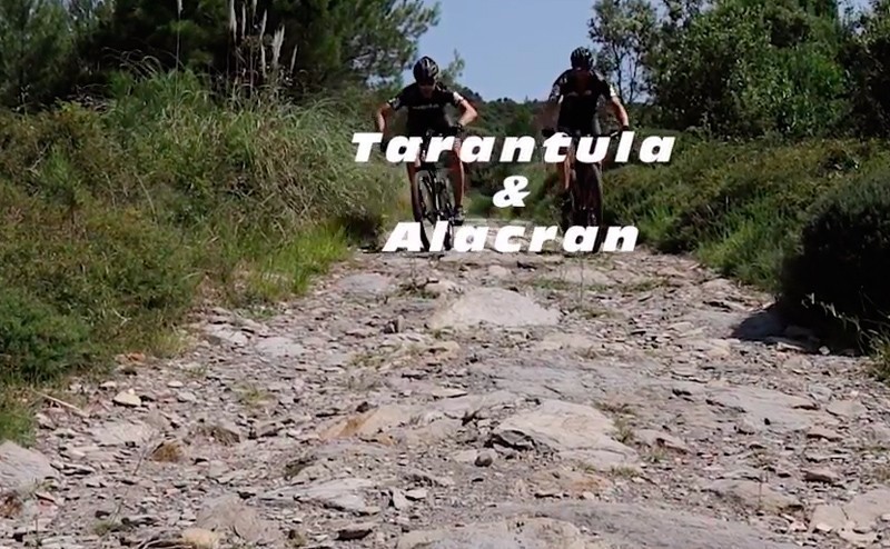 Vídeo BIBÓO e-mtb en acción con Alacrán y Tarántula